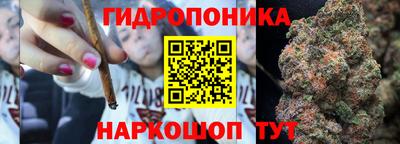 шишки Малоярославец