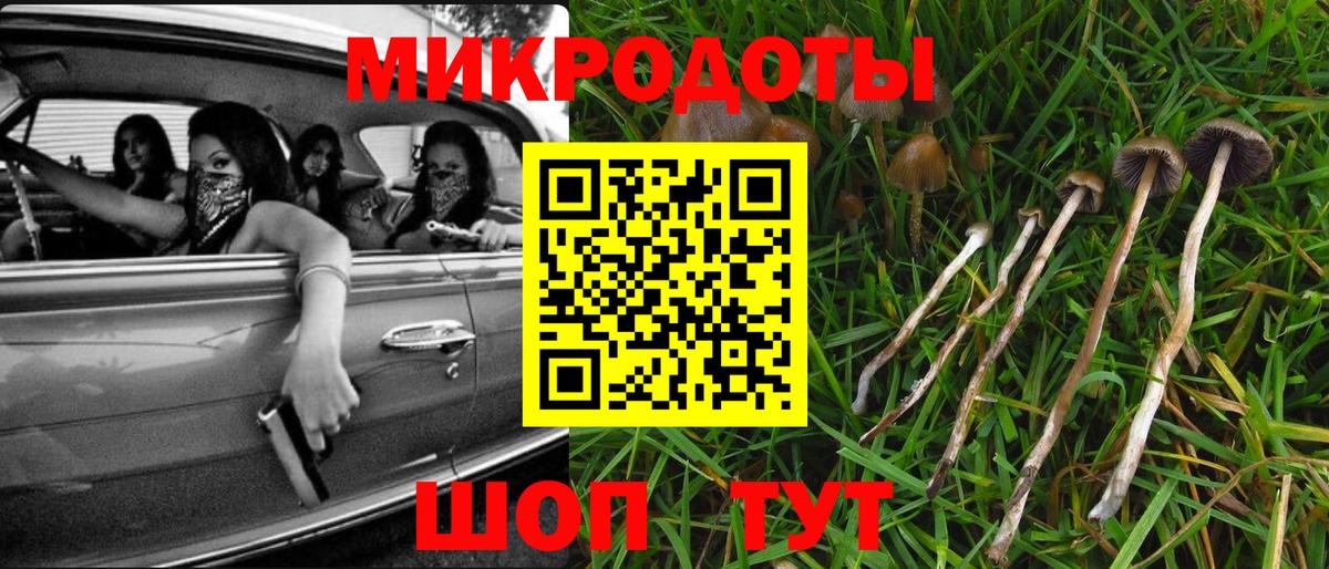 Галлюциногенные грибы мицелий  Галлюциногенные грибы Psilocybine cubensis  где купить   Якутск  Вход с VPN 